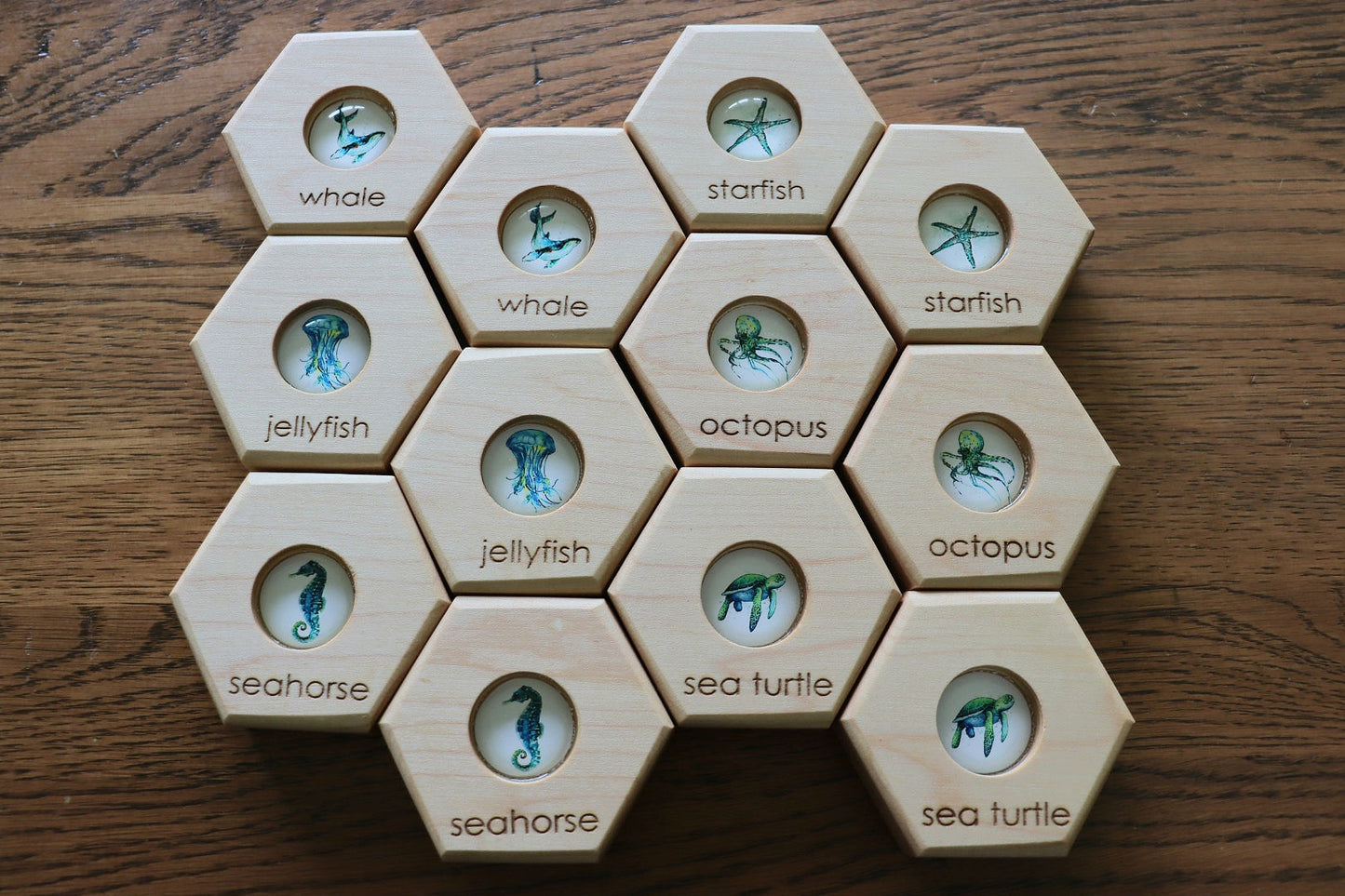 Hexagon Memory Set - Oceanlife