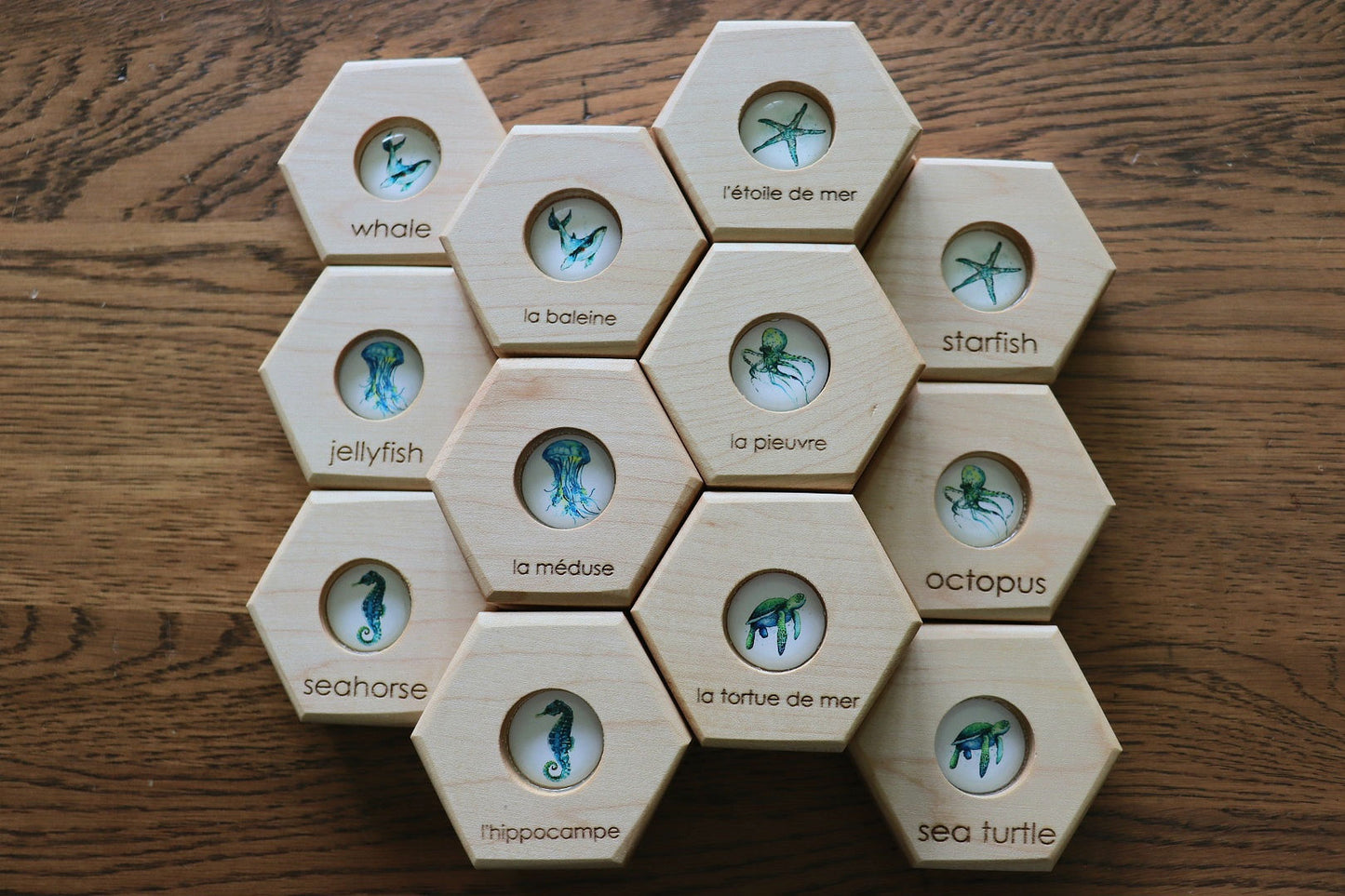 Hexagon Memory Set - Oceanlife