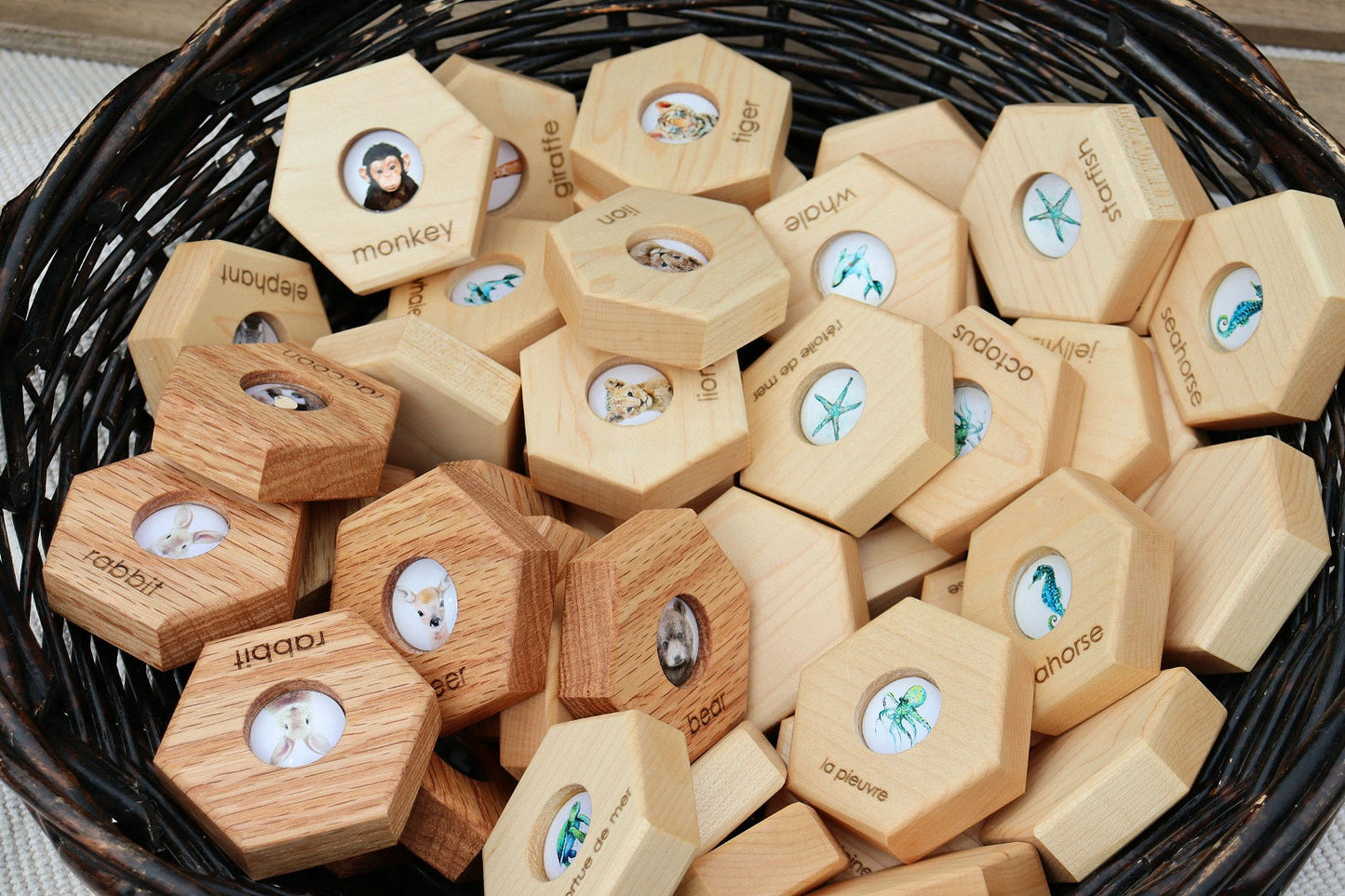 Hexagon Memory Set - Oceanlife