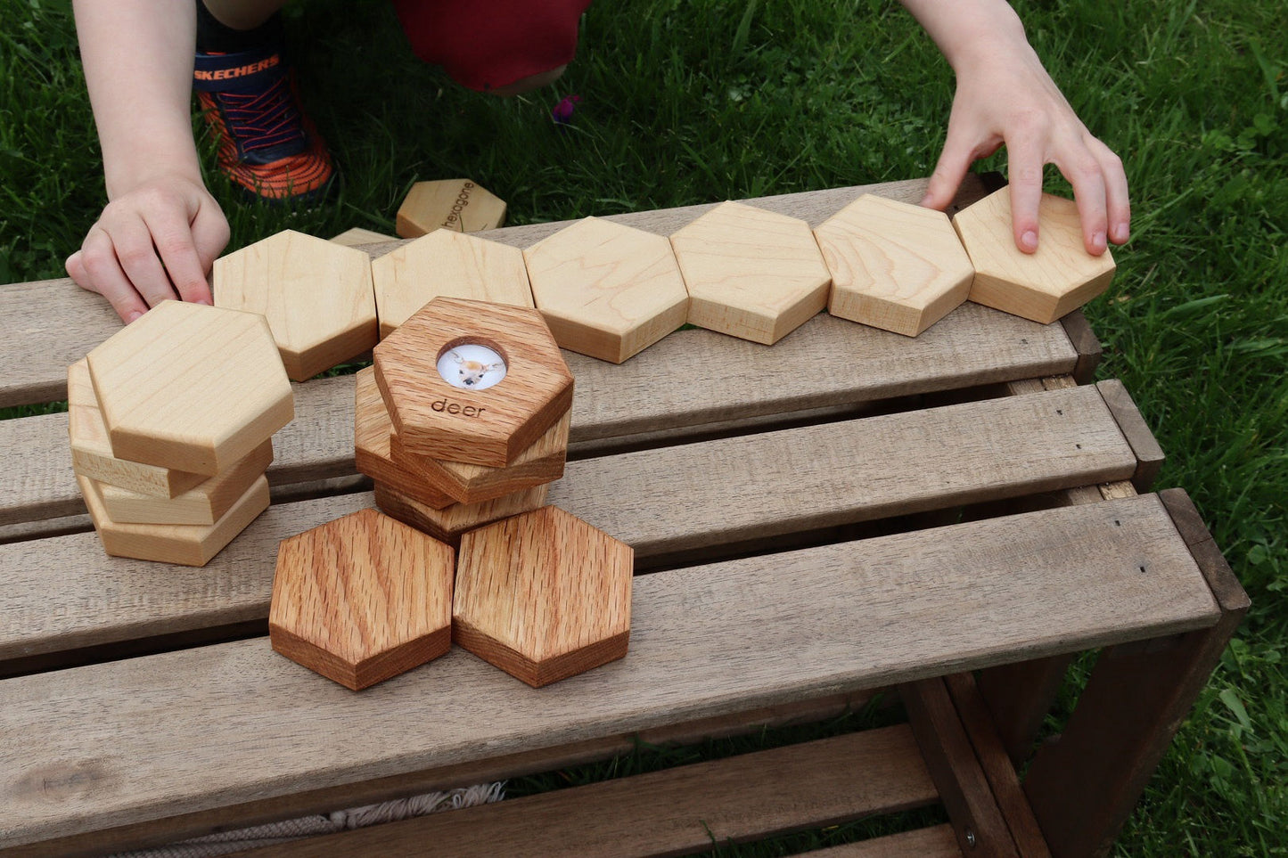 Hexagon Memory Set - Forest Animals