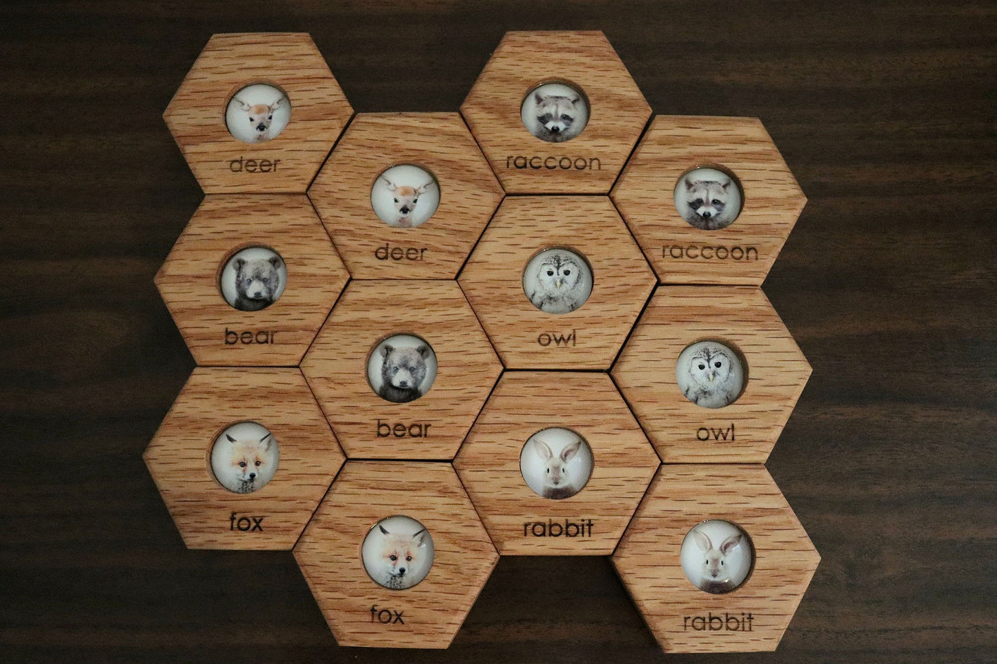 Hexagon Memory Set - Forest Animals
