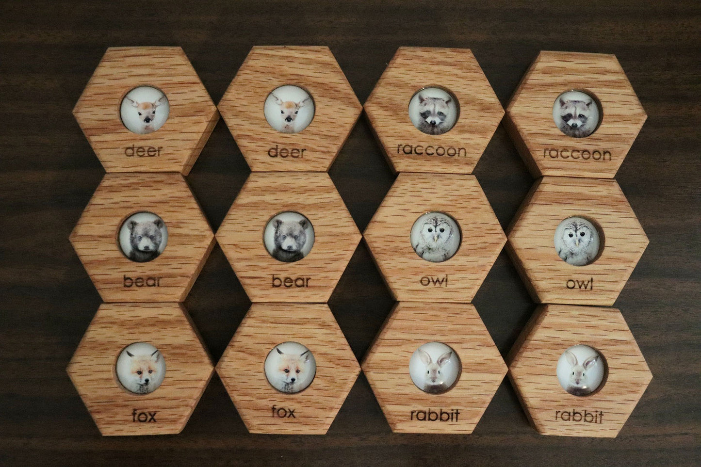 Hexagon Memory Set - Forest Animals