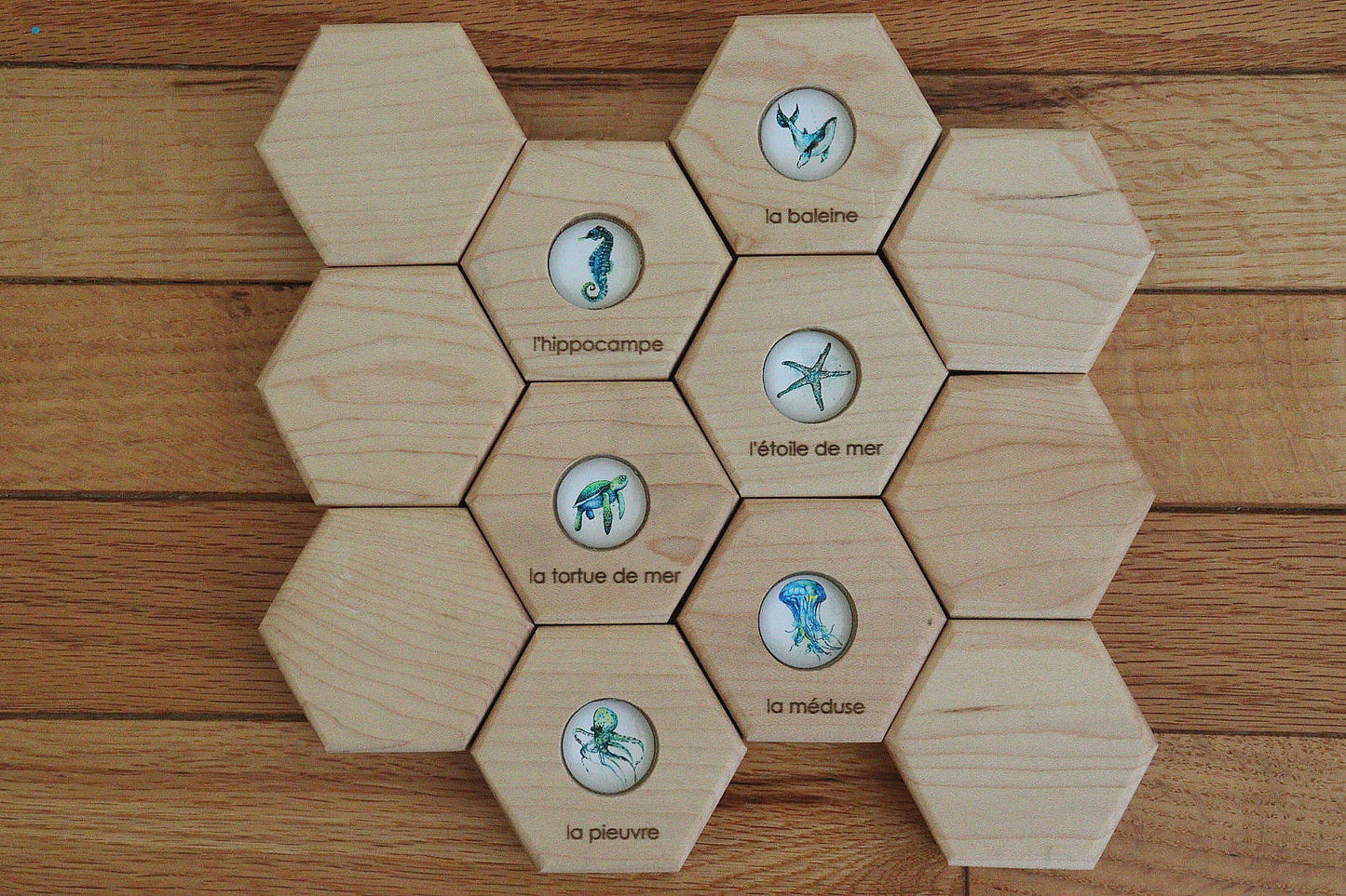 Hexagon Memory Set - Oceanlife