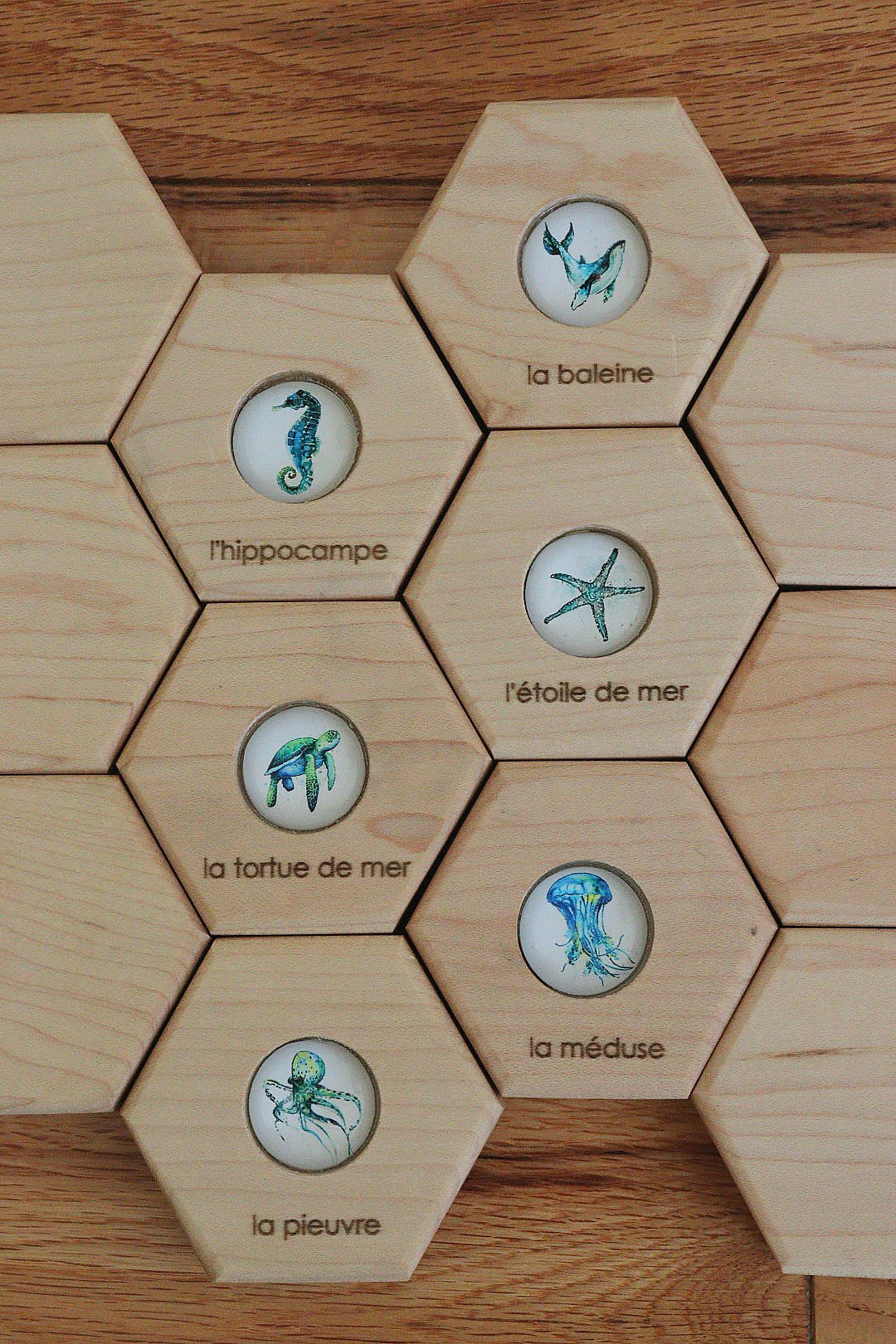Hexagon Memory Set - Oceanlife