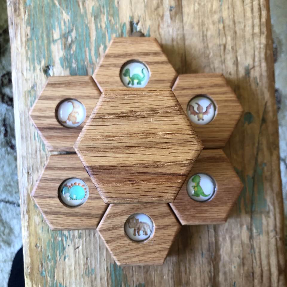 Hexagon Memory Set - Dinosaurs