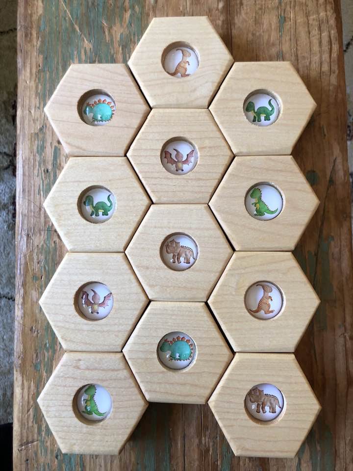 Hexagon Memory Set - Dinosaurs
