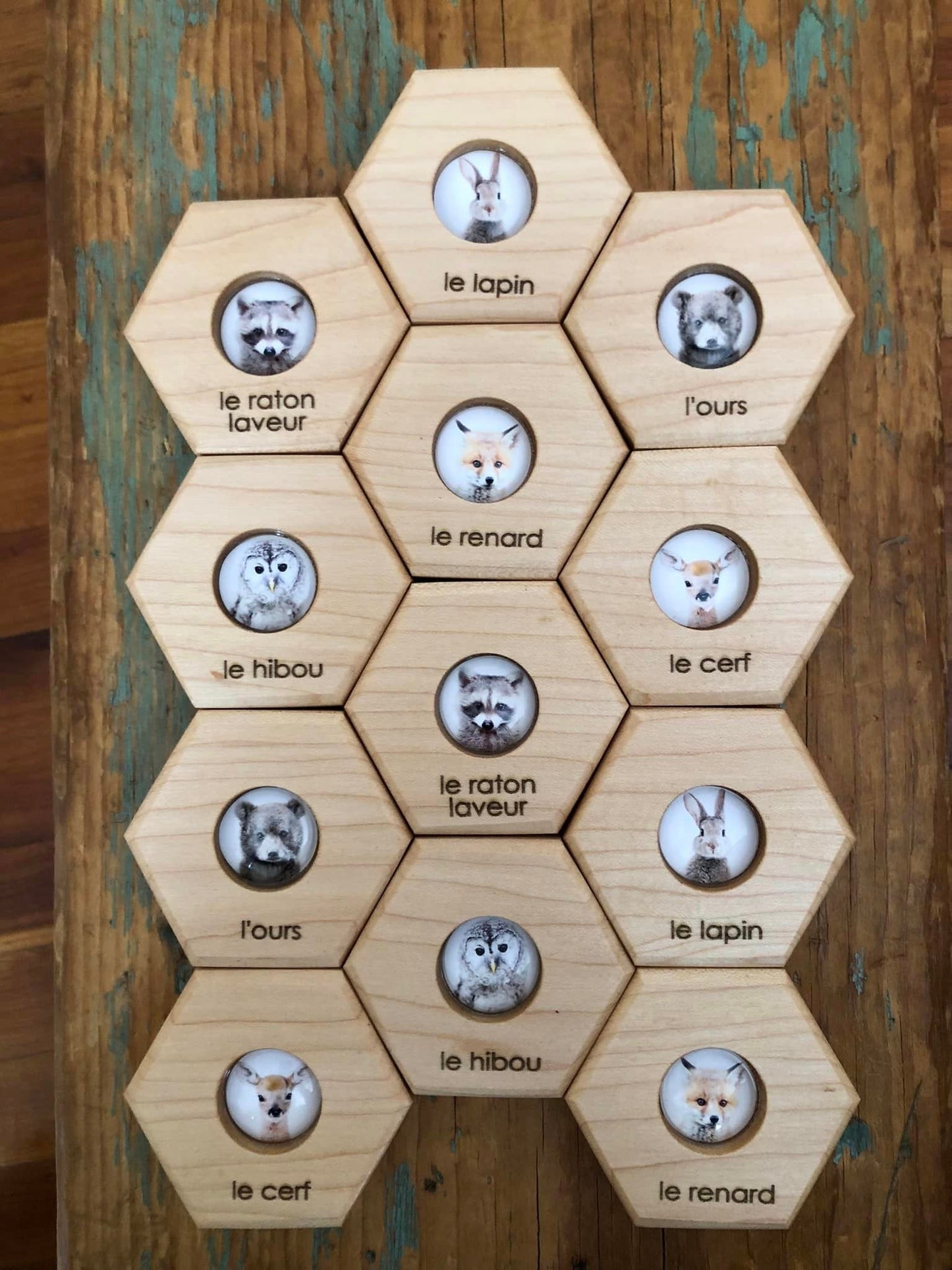Hexagon Memory Set - Forest Animals