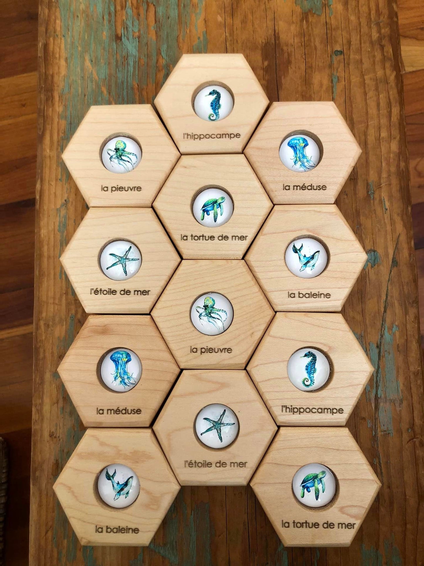 Hexagon Memory Set - Oceanlife