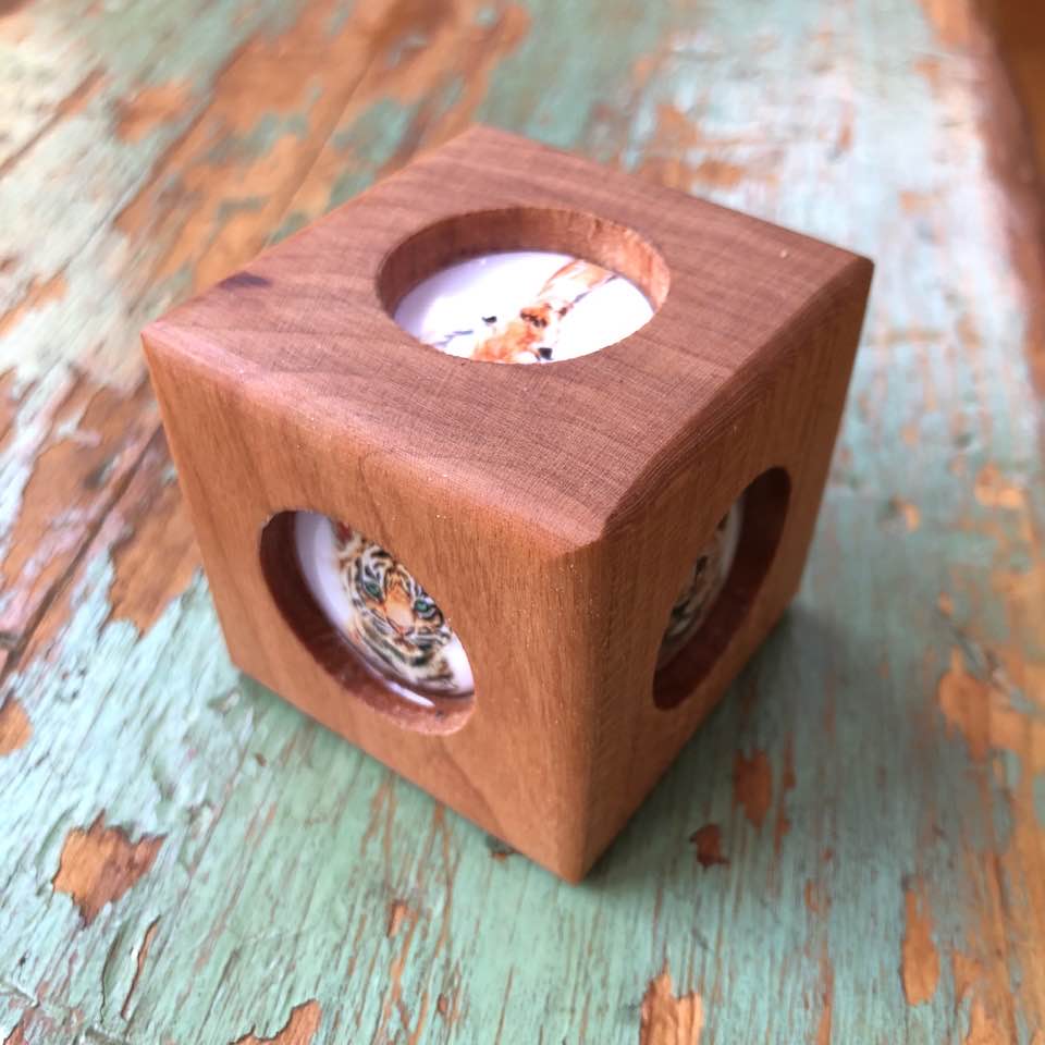 Story Cube - Zoo Animals