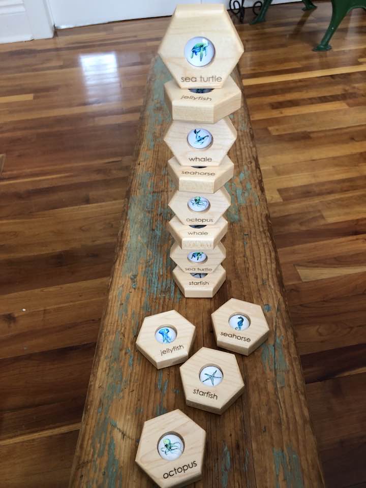 Hexagon Memory Set - Oceanlife