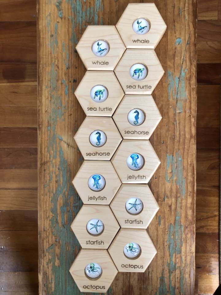 Hexagon Memory Set - Oceanlife