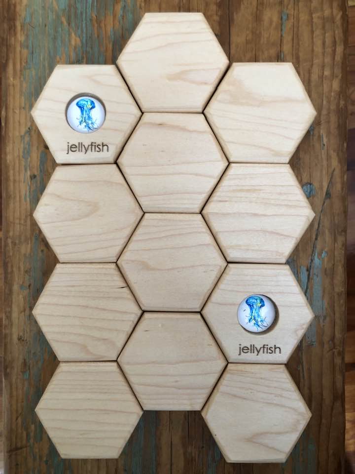 Hexagon Memory Set - Oceanlife