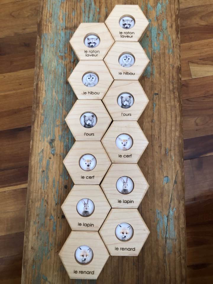 Hexagon Memory Set - Forest Animals