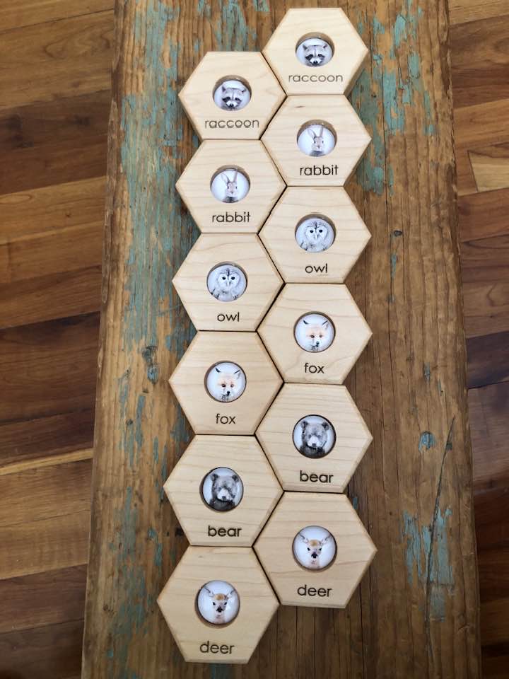 Hexagon Memory Set - Forest Animals