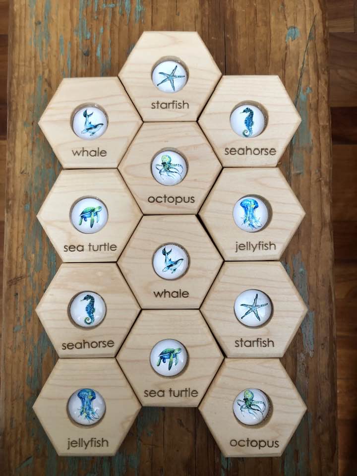 Hexagon Memory Set - Oceanlife