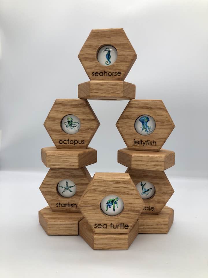 Hexagon Memory Set - Oceanlife