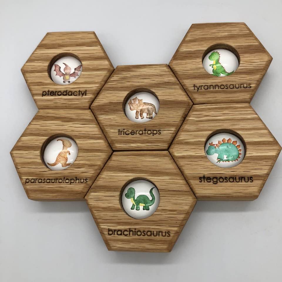 Hexagon Memory Set - Dinosaurs