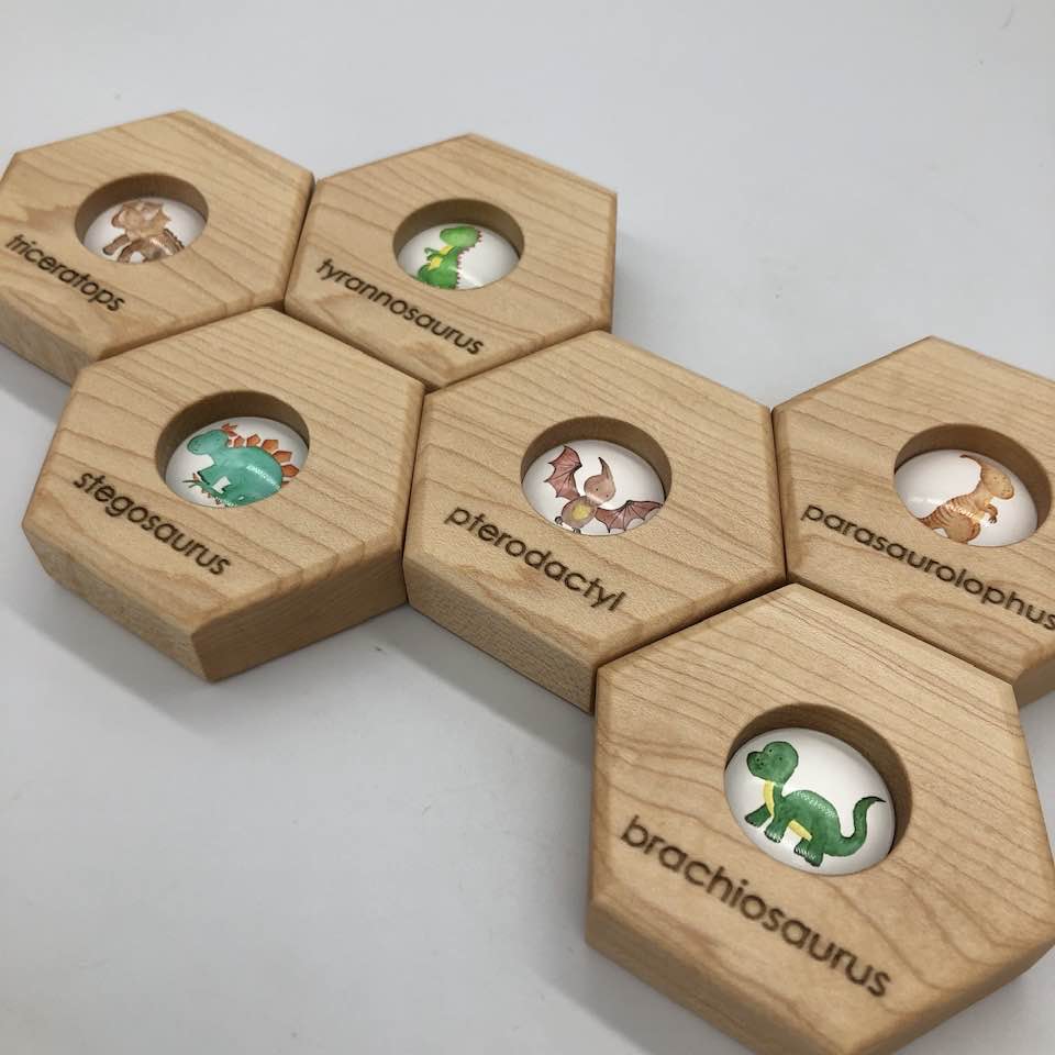 Hexagon Memory Set - Dinosaurs