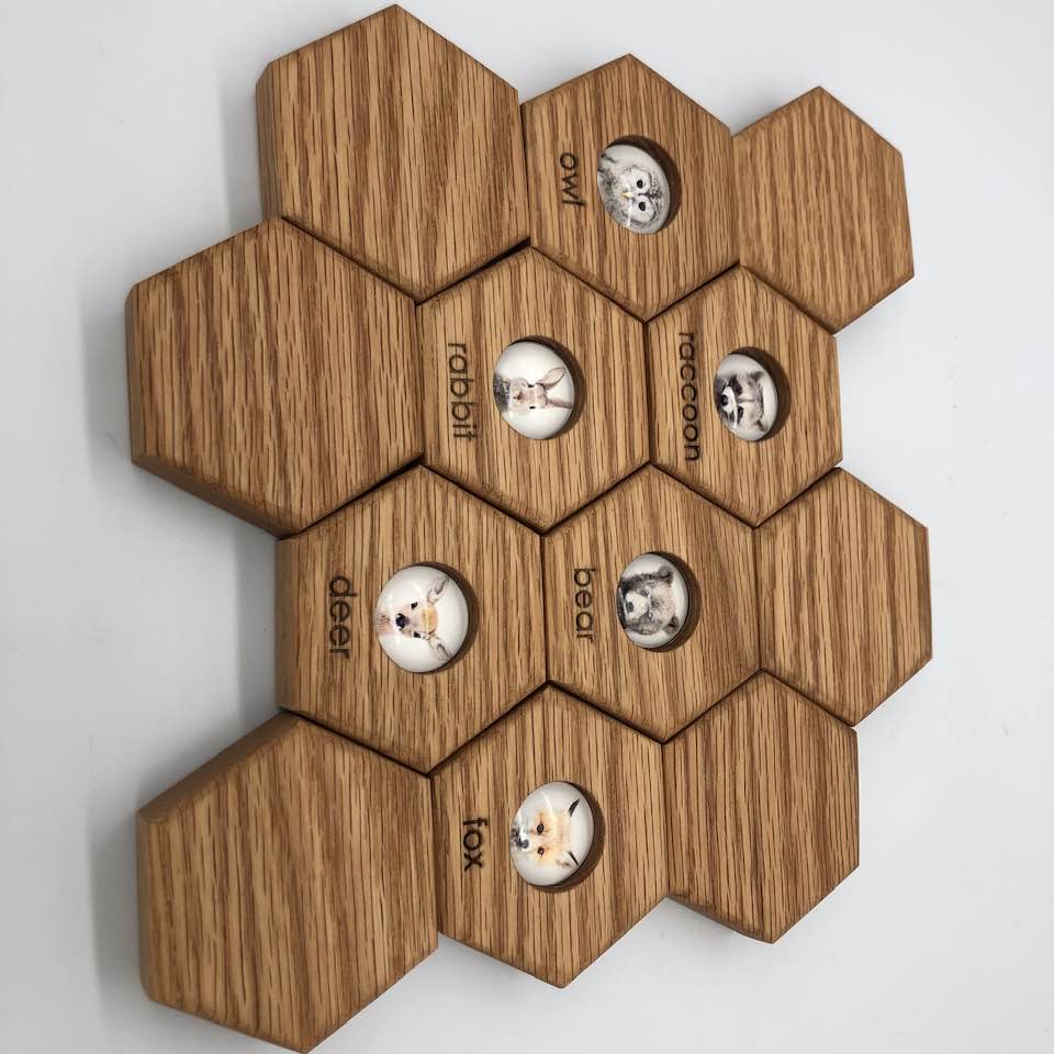 Hexagon Memory Set - Forest Animals