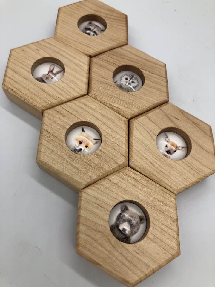 Hexagon Memory Set - Forest Animals