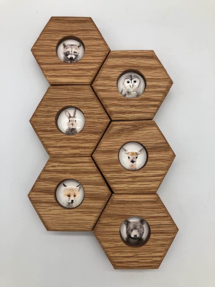 Hexagon Memory Set - Forest Animals