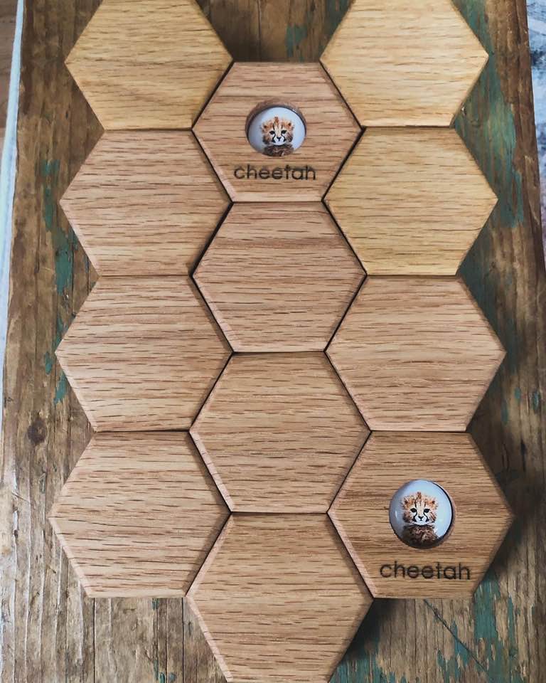 RED OAK SALE - Hexagon Memory - Zoo Animals