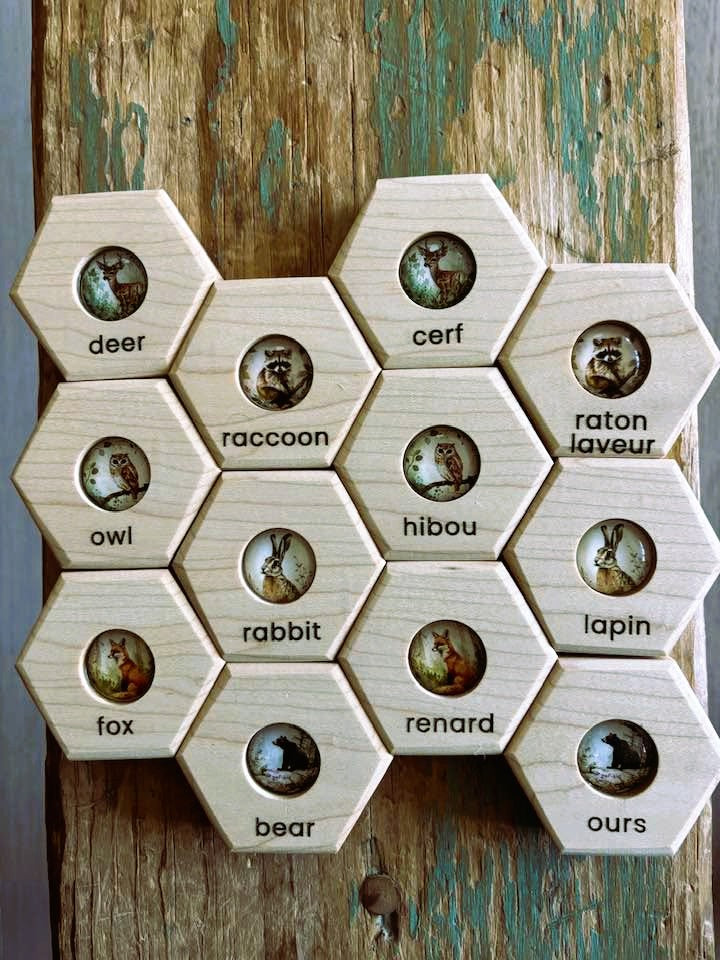 Hexagon Memory Set - Classic Forest Animals - Bilingual