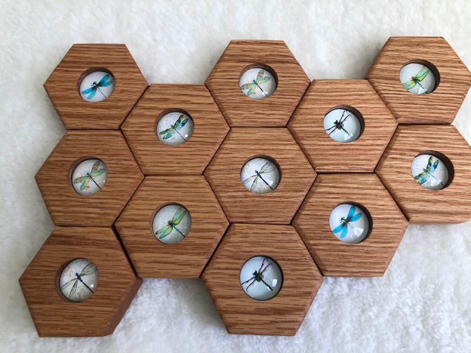 Hexagon Memory Set - Dragonflies
