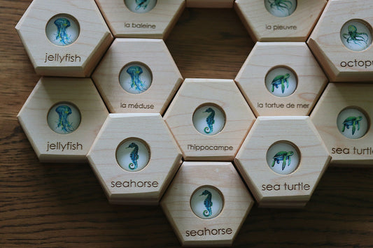Hexagon Memory Set - Oceanlife