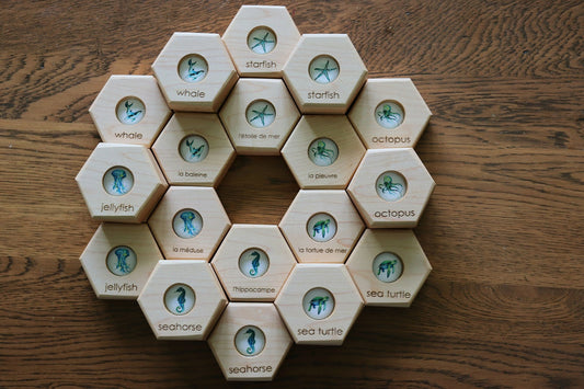 Hexagon Memory Set - Oceanlife