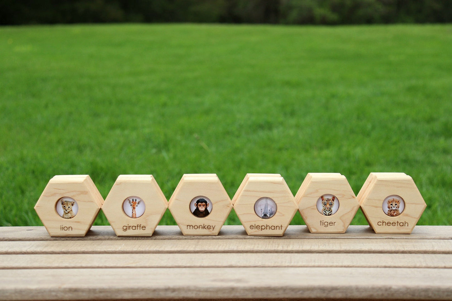 Hexagon Memory Set - Zoo Animals