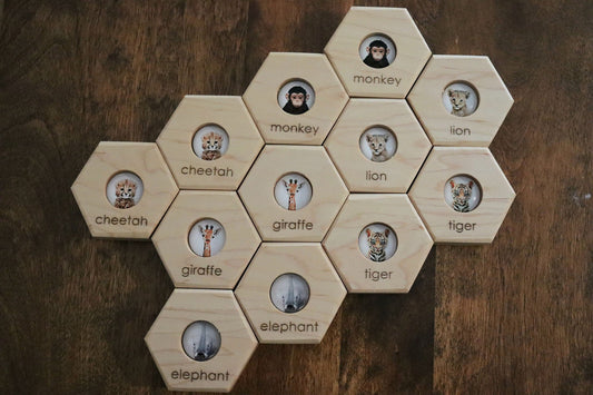 Hexagon Memory Set - Zoo Animals