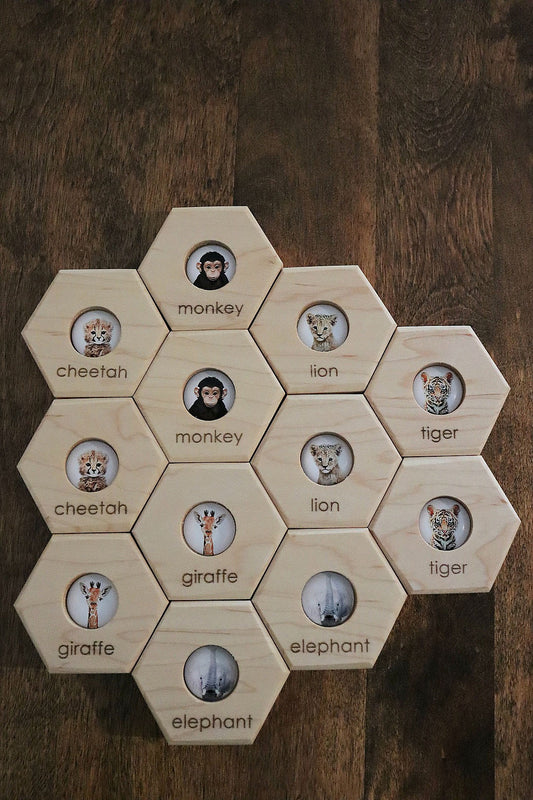 Hexagon Memory Set - Zoo Animals