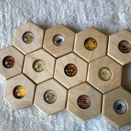 Hexagon - Bees Memory Set - 12 pc.