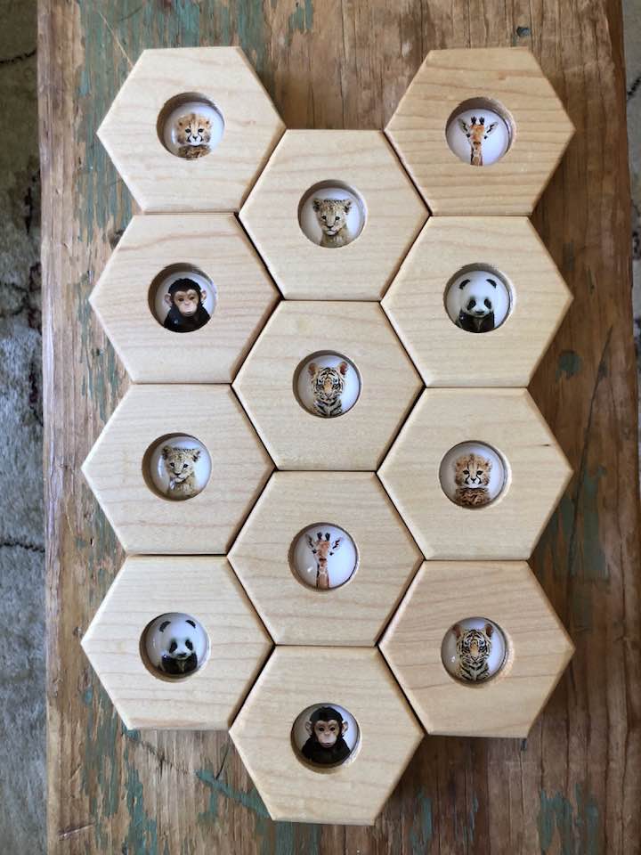 Hexagon Memory Set - Zoo Animals