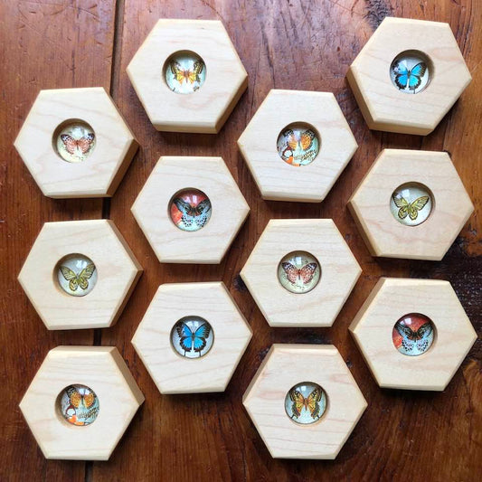 Hexagon - Butterfly Memory Set - 12 pc.