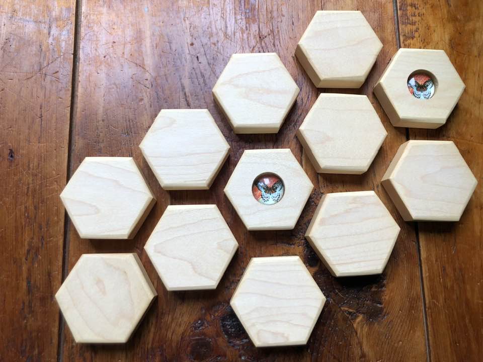 Hexagon Memory Set - Butterflies - 12 pc.