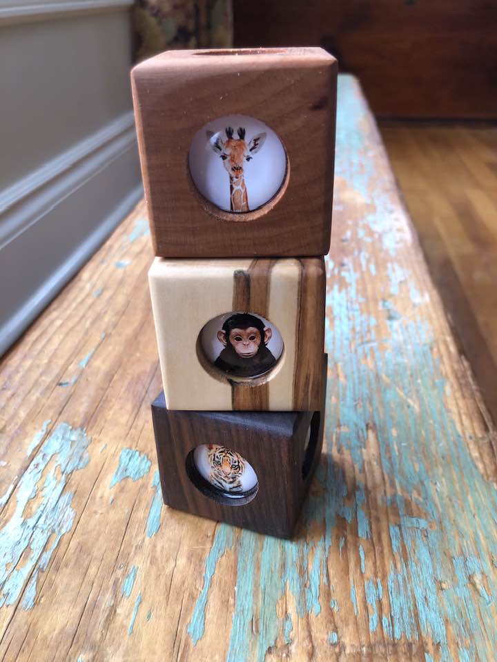 Story Cube - Zoo Animals