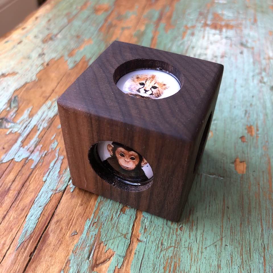 Story Cube - Zoo Animals