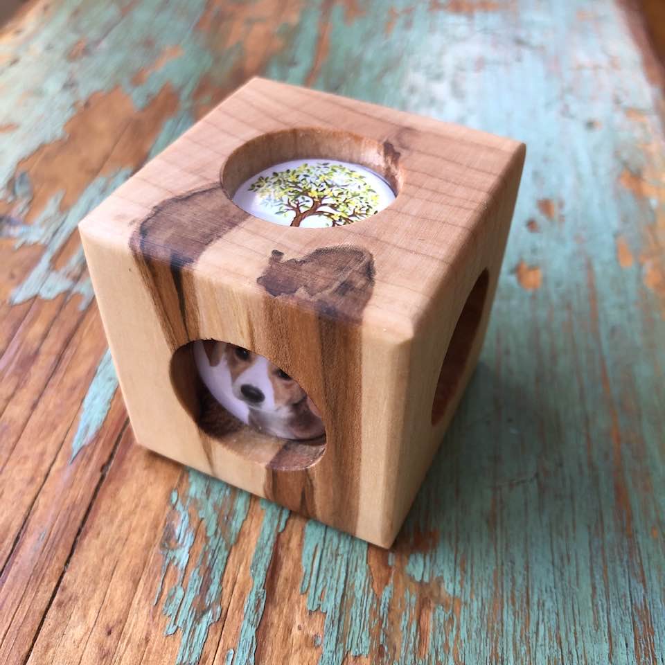 Story Cube - Neighbourhood Walk Story