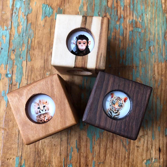 Story Cube - Zoo Animals