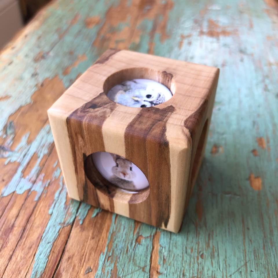 Story Cube - Forest Animals