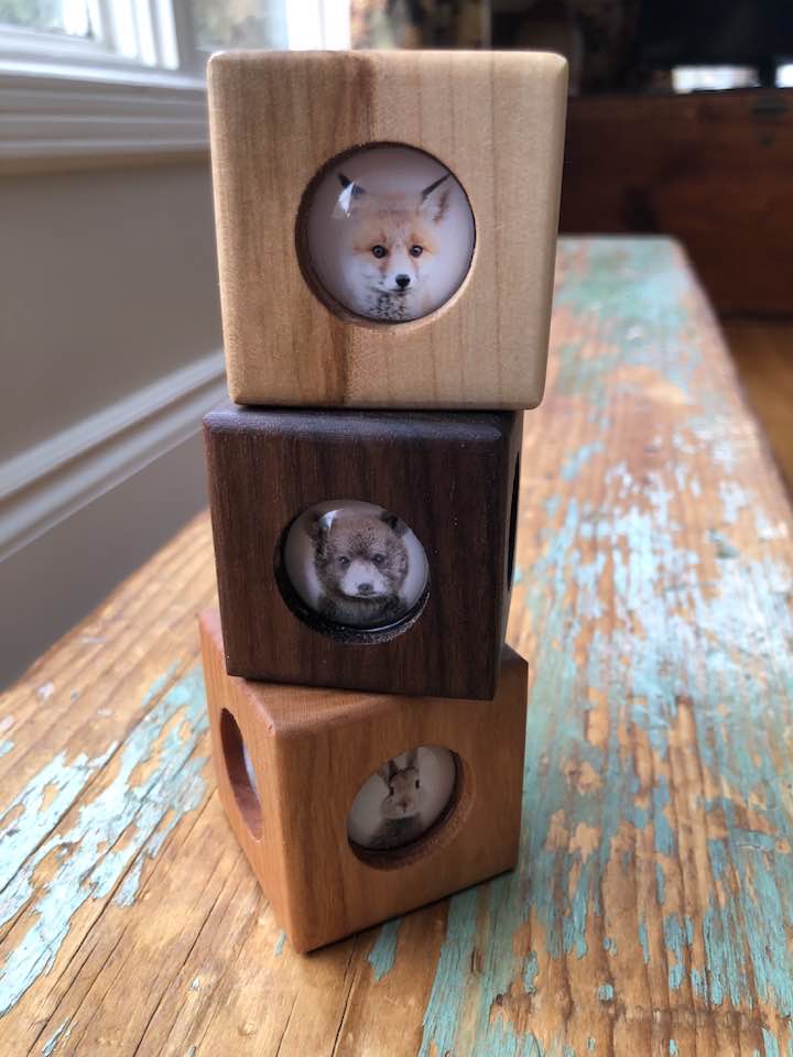Story Cube - Forest Animals