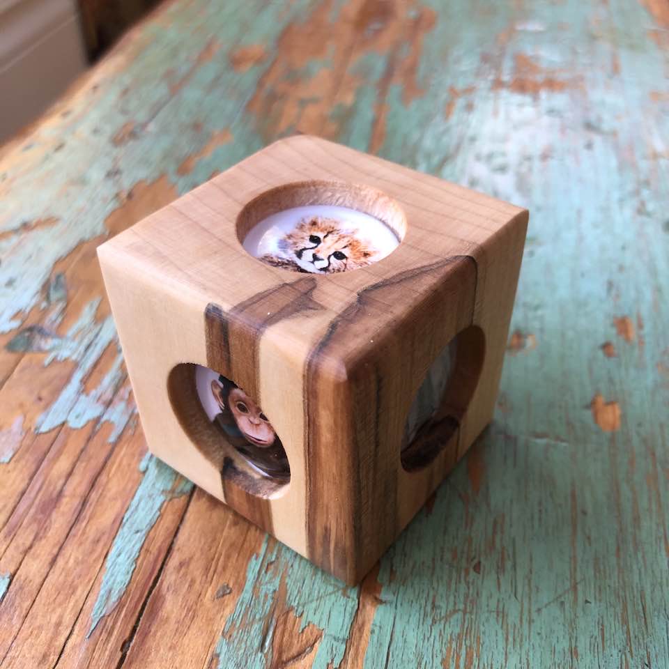 Story Cube - Zoo Animals
