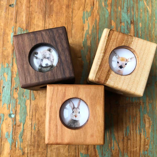 Story Cube - Forest Animals