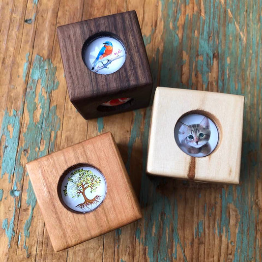 Story Cube - Neighbourhood Walk Story