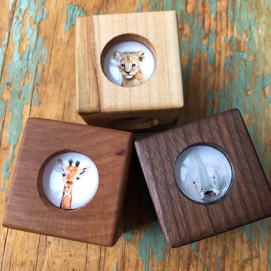 Story Cube - Zoo Animals