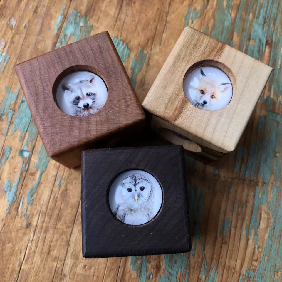 Story Cube - Forest Animals