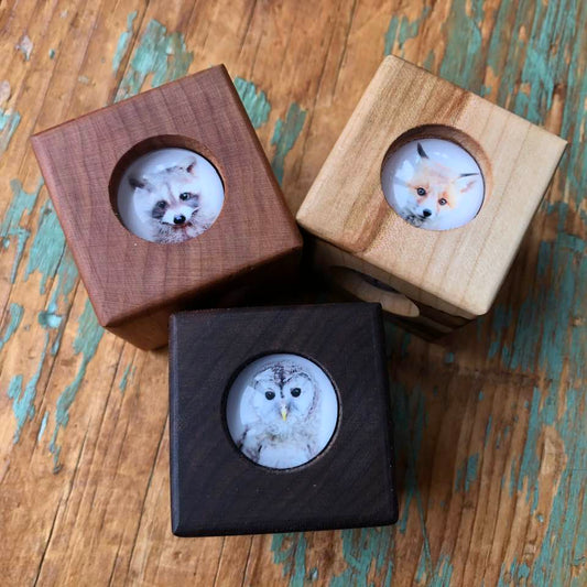 Story Cube - Forest Animals