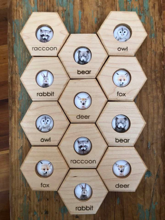 Hexagon Memory Set - Forest Animals